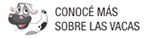 conoce más sobre las vacas conoce más sobre las vacas